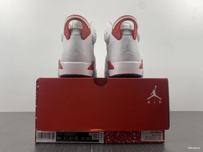 Reps TBkick Jordan Hare 6 CT8529-162 Retro 0725